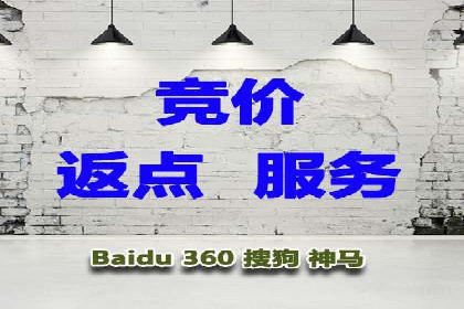 SEM竞价代运营：案例展示精准营销效果