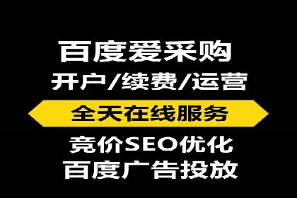 百度SEO推广公司案例精选：揭秘优化策略